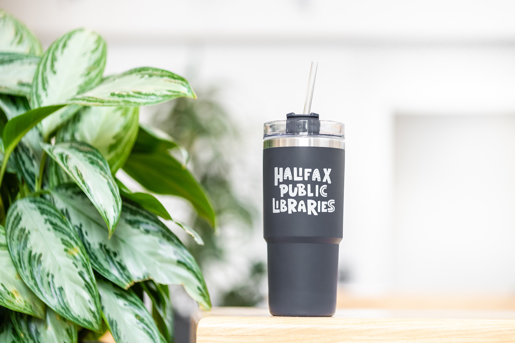 Library Tumbler - Hot & Cold 740ml